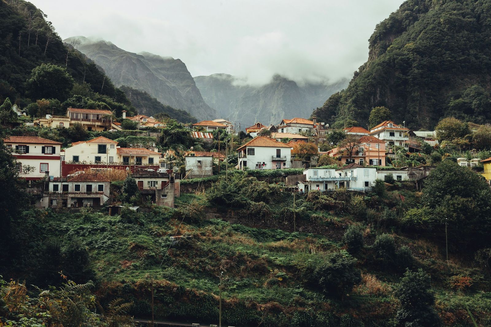 Encosta da Madeira com casas e socalcos